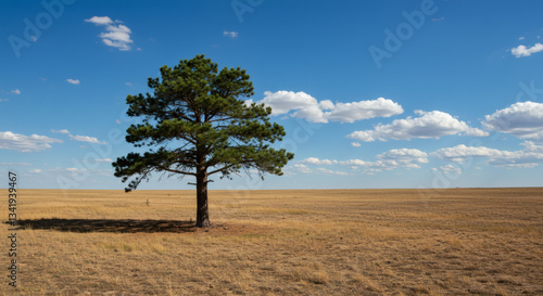 A lone tree standing in the middle of a vast, open field under a bright blue sky.

