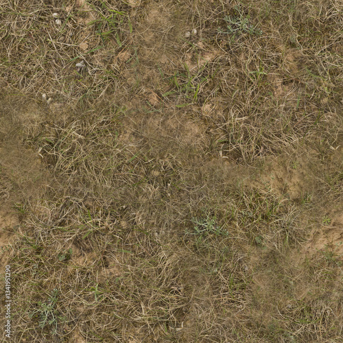 dry grass and sand grass background