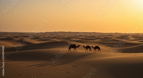 Camels Walking Across Dunes at Sunset in a Desert Landscape