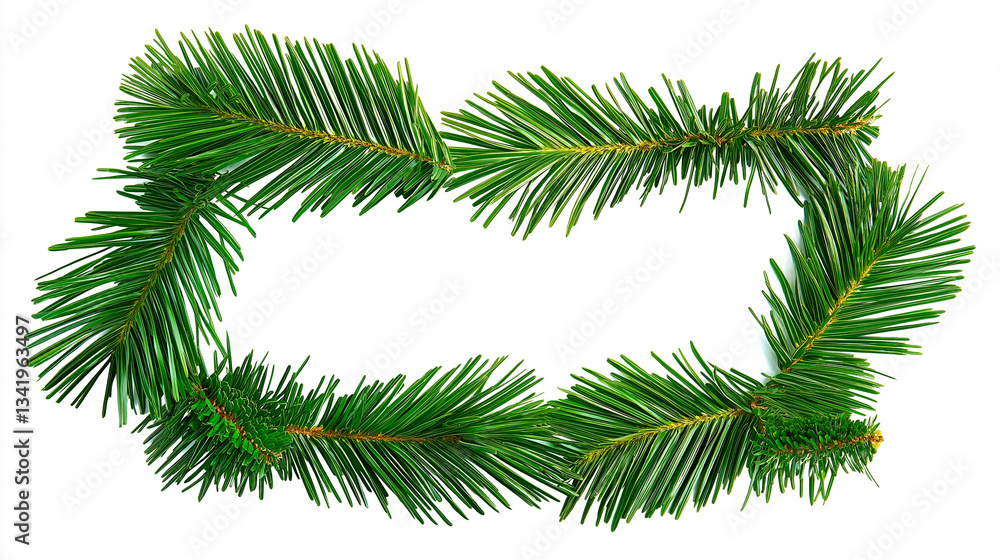 palm tree leaves isolated on white background