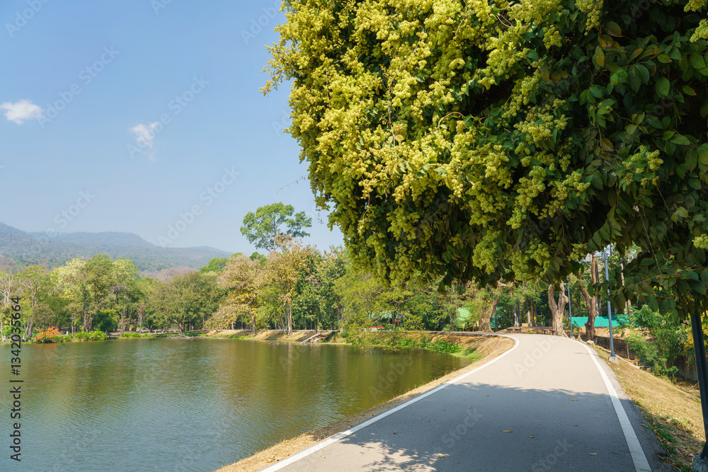 a public place leisure travel landscape lake views at Ang Kaew Chiang Mai University and Doi Suthep nature forest Mountain views spring cloudy sky background with white cloud.