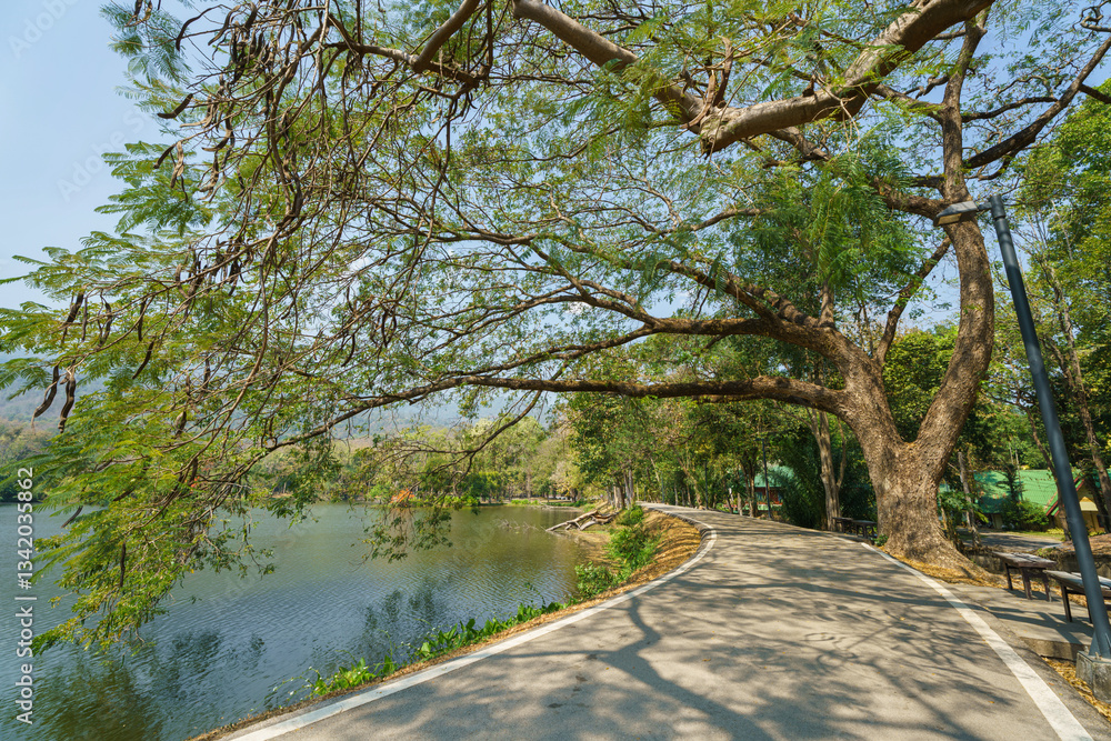 a public place leisure travel landscape lake views at Ang Kaew Chiang Mai University and Doi Suthep nature forest Mountain views spring cloudy sky background with white cloud.