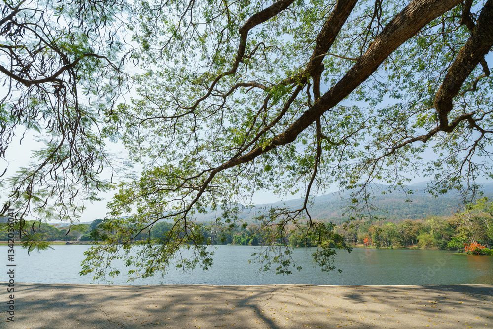 a public place leisure travel landscape lake views at Ang Kaew Chiang Mai University and Doi Suthep nature forest Mountain views spring cloudy sky background with white cloud.