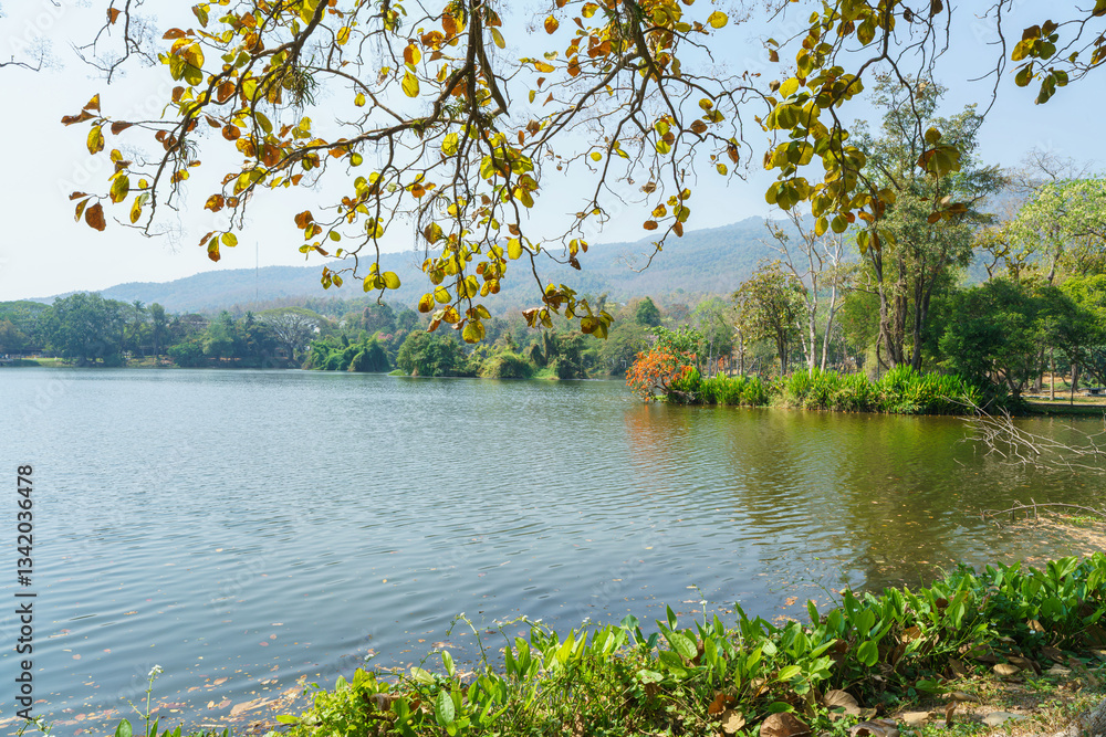 a public place leisure travel landscape lake views at Ang Kaew Chiang Mai University and Doi Suthep nature forest Mountain views spring cloudy sky background with white cloud.