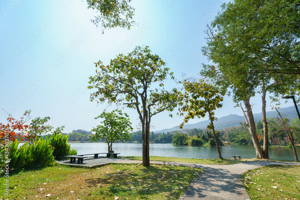 a public place leisure travel landscape lake views at Ang Kaew Chiang Mai University and Doi Suthep nature forest Mountain views spring cloudy sky background with white cloud.