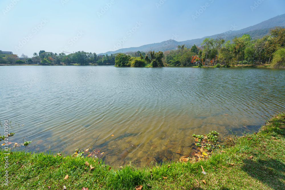 a public place leisure travel landscape lake views at Ang Kaew Chiang Mai University and Doi Suthep nature forest Mountain views spring cloudy sky background with white cloud.