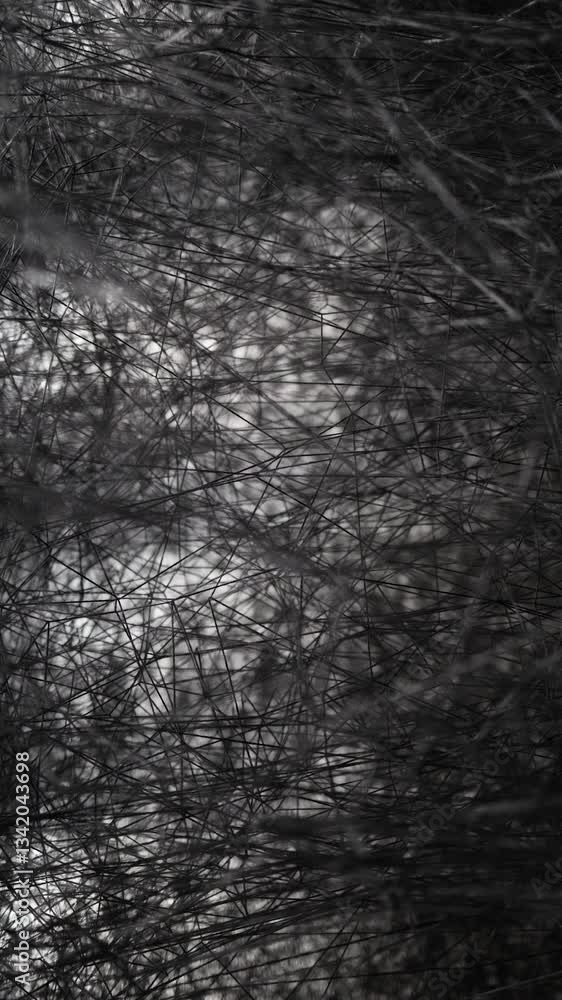 Vertical screen: A dense web of black threads intertwines chaotically, creating a mesmerizing abstract pattern. A single light source pierces through, casting eerie shadows and adding depth. Vertical screen: A dense web of black threads intertwines chaotically, creating a mesmerizing abstract pattern. A single light source pierces through, casting eerie shadows and adding depth.