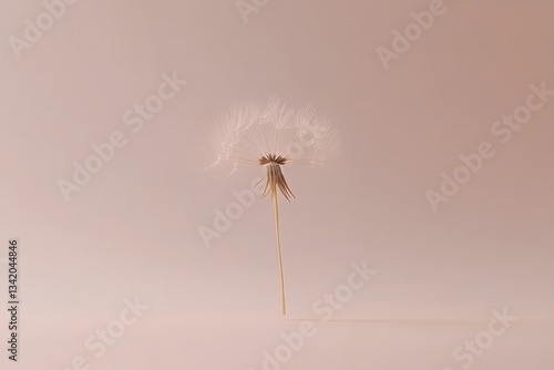 Wallpaper Mural A Single Dandelion Plant With Floating Seeds Against Pink Background Torontodigital.ca