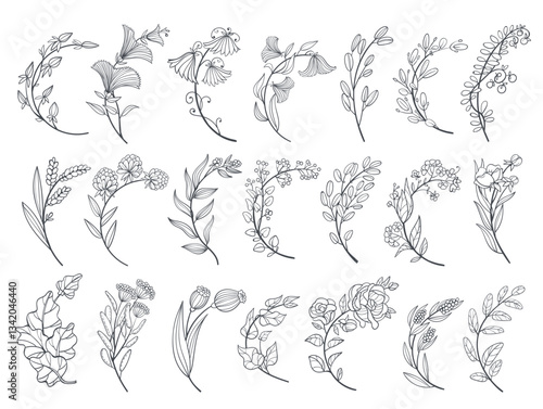 Curved floral branches. Decorative elements fore poster, banner and card, botanical design, blooming twigs with leaves and flowers, linear plants, hand drawn line isolated splendid vector set