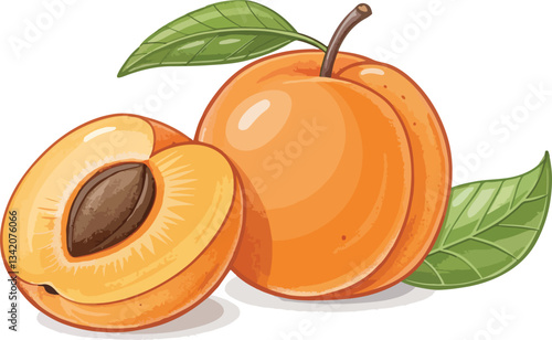 Apricot Illustration vector design, Apricot with Apricot Slice in Isolated background Illustration vector design