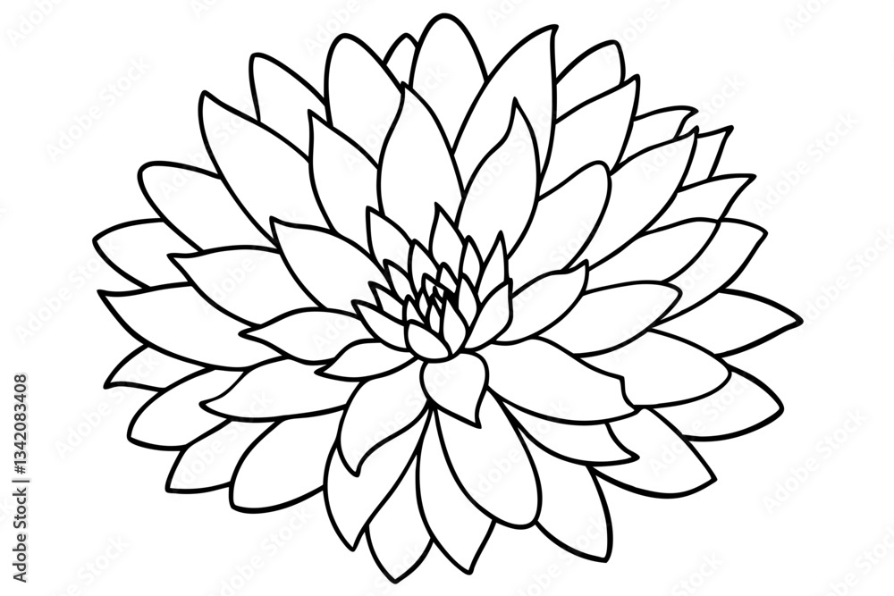 Obraz premium aster flower line art silhouette vector illustration