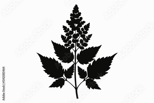 aster flowe line art silhouette vector illustration