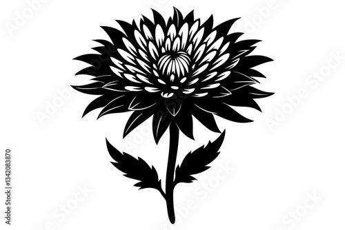 Wallpaper Mural aster flower line art silhouette vector illustration Torontodigital.ca