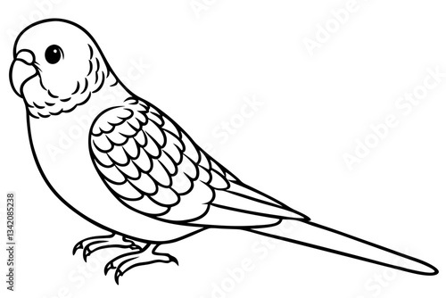 budgerigar line art silhouette vector illustration