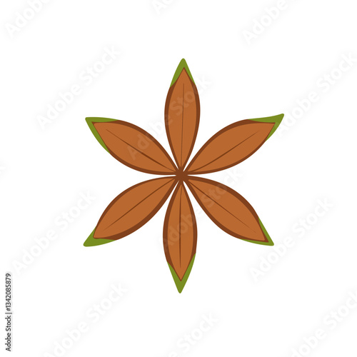 A Simple flat 2D icon anise plant isolated on a transparent background, vector, flat design, animation design, simple flat 2D icon, minimalist design, clipart, illustration