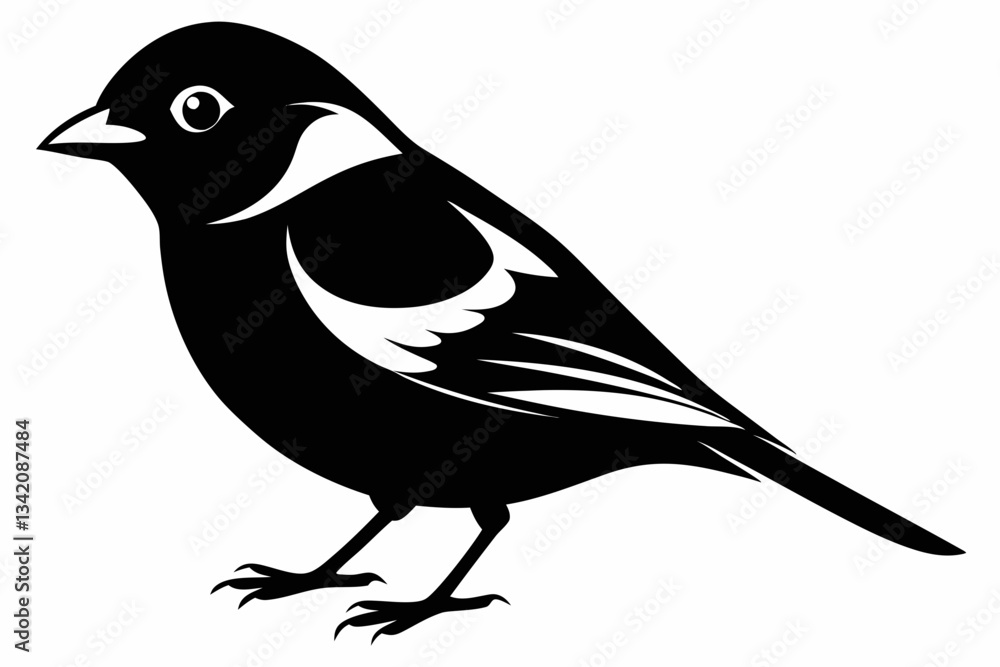 Obraz premium chaffinch line art silhouette vector illustration