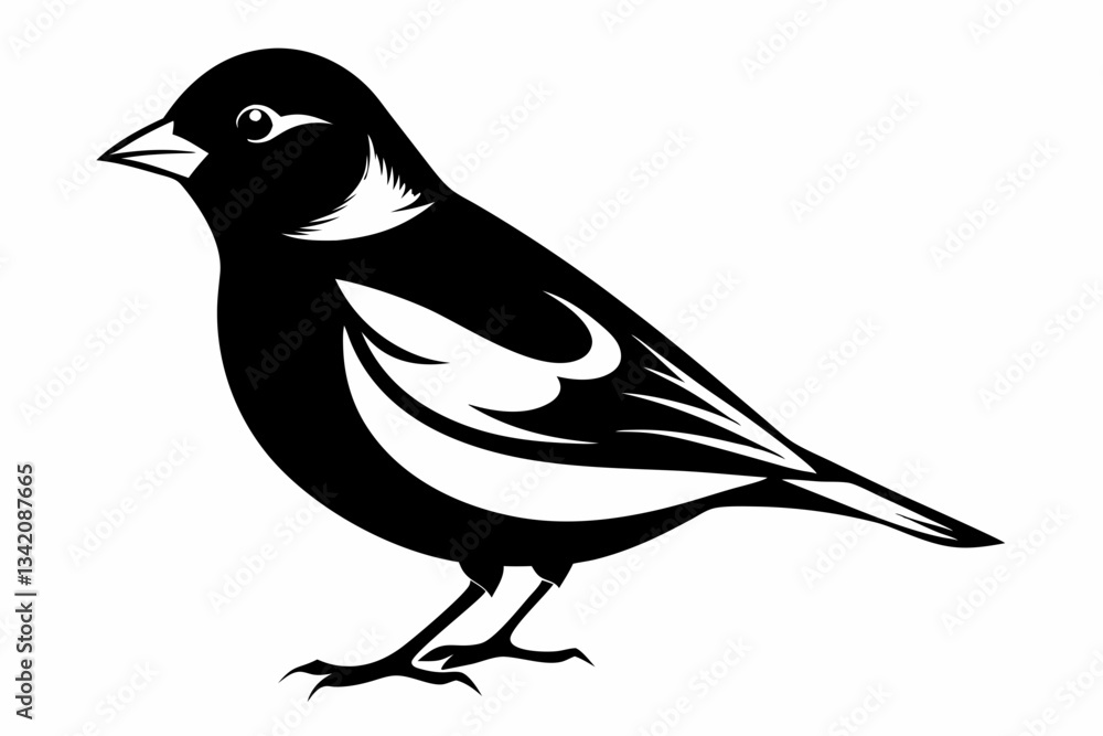 Obraz premium chaffinch line art silhouette vector illustration