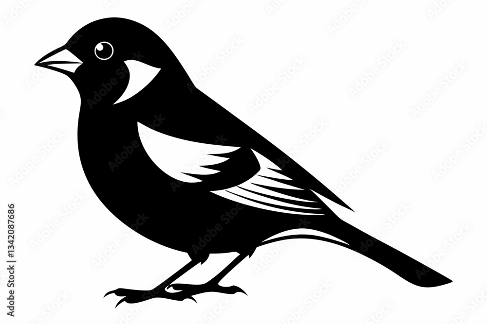 Obraz premium chaffinch line art silhouette vector illustration