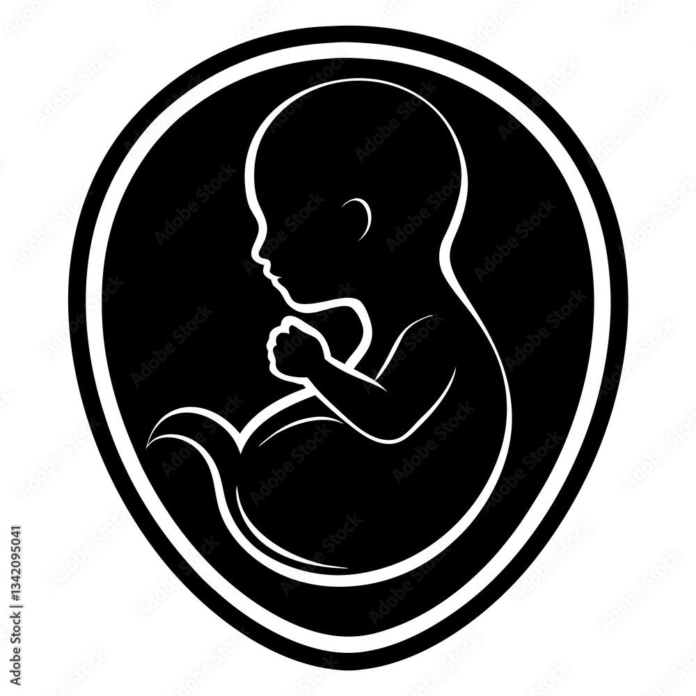 Vector illustration of a baby in the womb Vector illustration of a baby in the womb