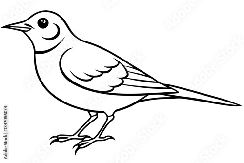 lark bird line art silhouette vector illustration