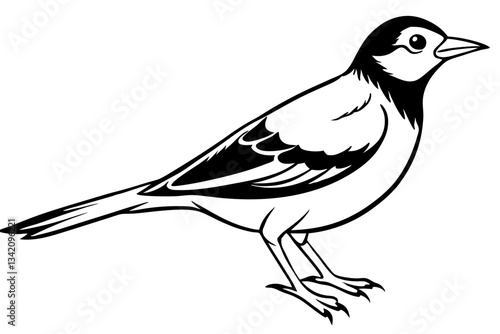 lark bird line art silhouette vector illustration