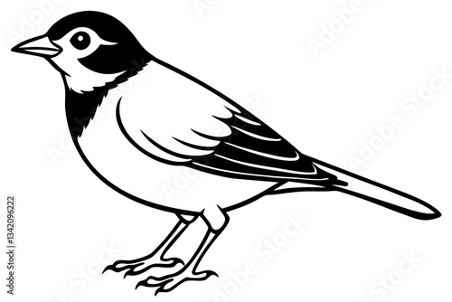 lark bird line art silhouette vector illustration