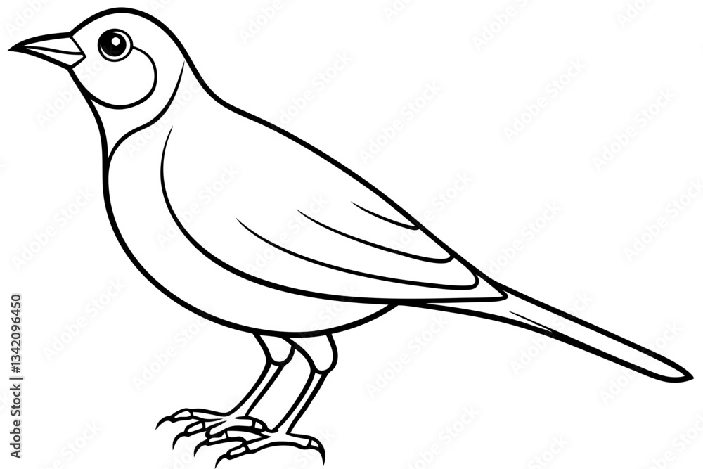 Fototapeta premium lark bird line art silhouette vector illustration