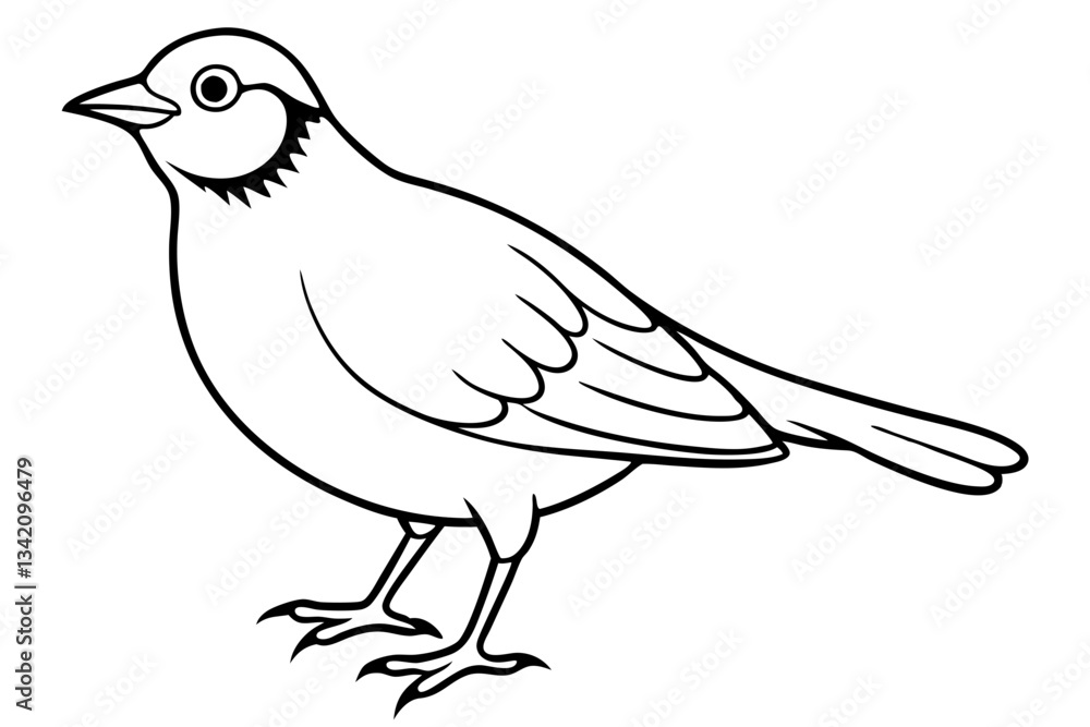 Fototapeta premium lark bird line art silhouette vector illustration