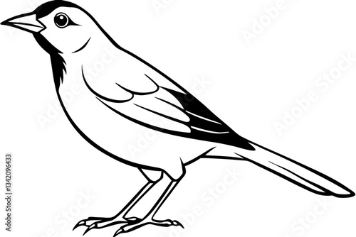 lark bird line art silhouette vector illustration