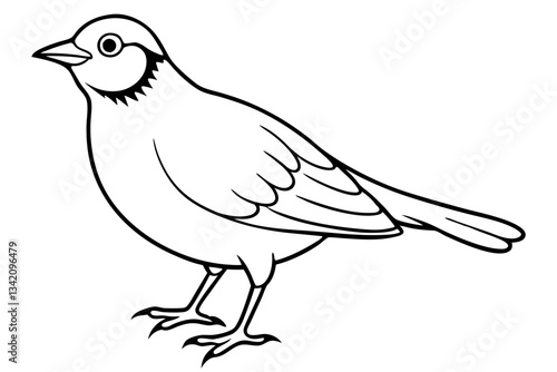 lark bird line art silhouette vector illustration