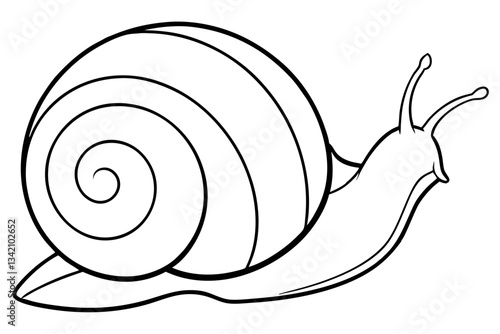 sea snail line art silhouette vector illustration