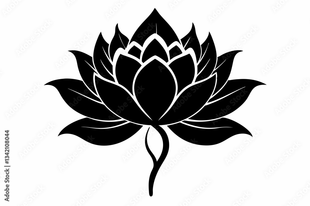 Fototapeta premium zenobia flower line art silhouette vector illustration