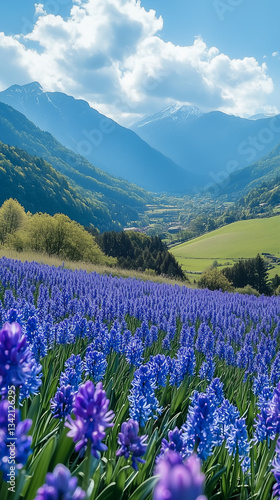 Spring flowers in the mountains