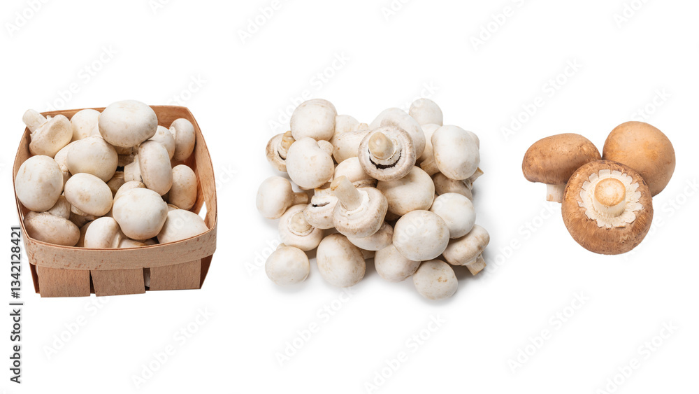 Champignon mushroom isolated on white background. Champignon mushroom isolated on white background.