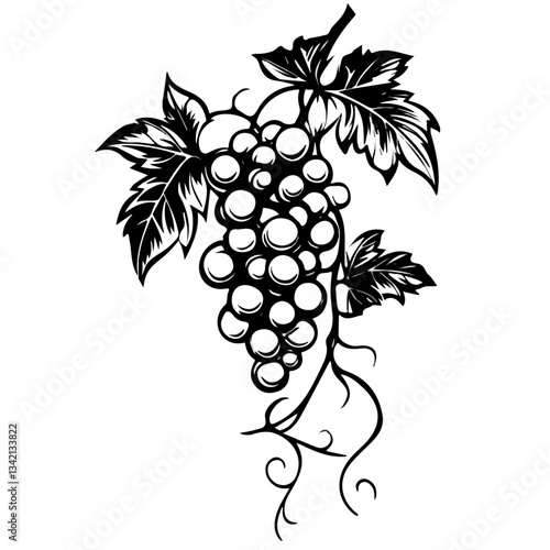 Vine symbol - black and white design for tattoos, logos and vectors - isolated on white