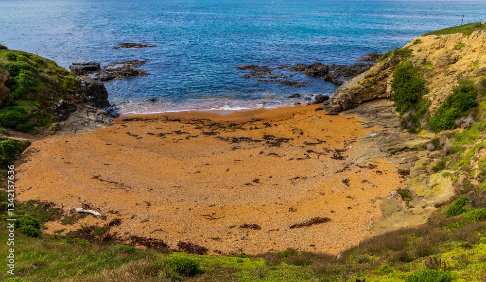 Φωτογραφία Scenic landscape on the Katiki Point on South Island of New Zealand