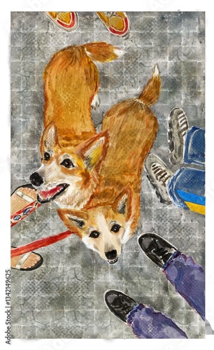 Corgi dogs postcard watercolor illustration 