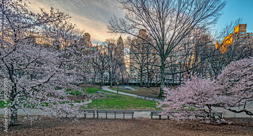 Obraz na płótnie Central Park in spring, early morning w salonie