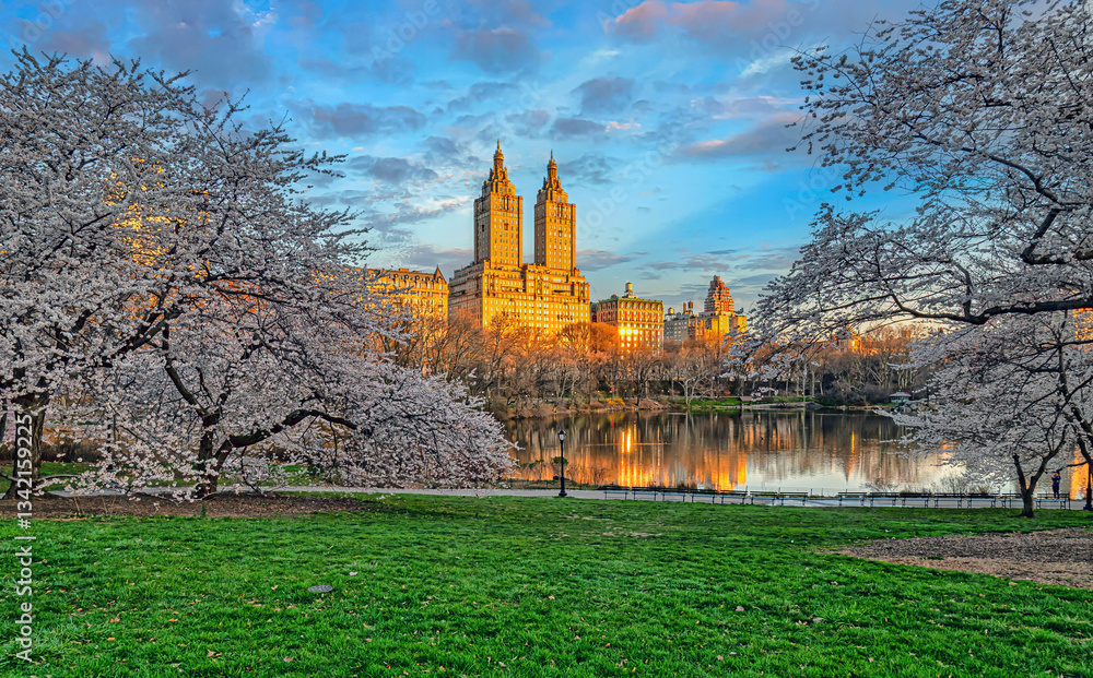 Central Park in spring, early morning