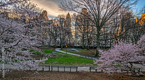 Obraz na płótnie Central Park in spring, early morning w salonie