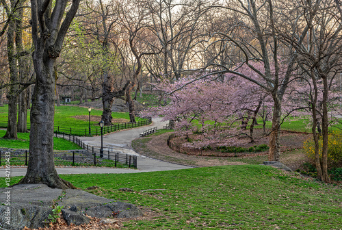 Obraz na płótnie Central Park in spring, early morning w salonie