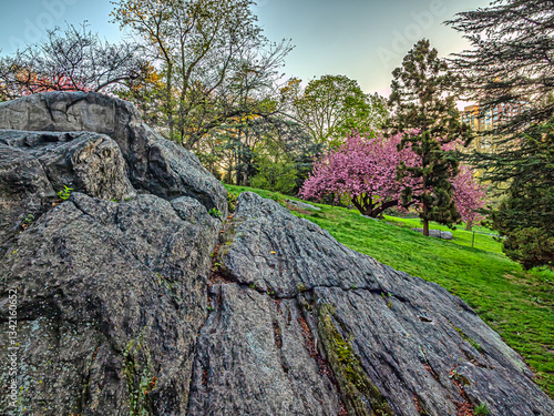 Obraz na płótnie Central Park in spring, early morning w salonie