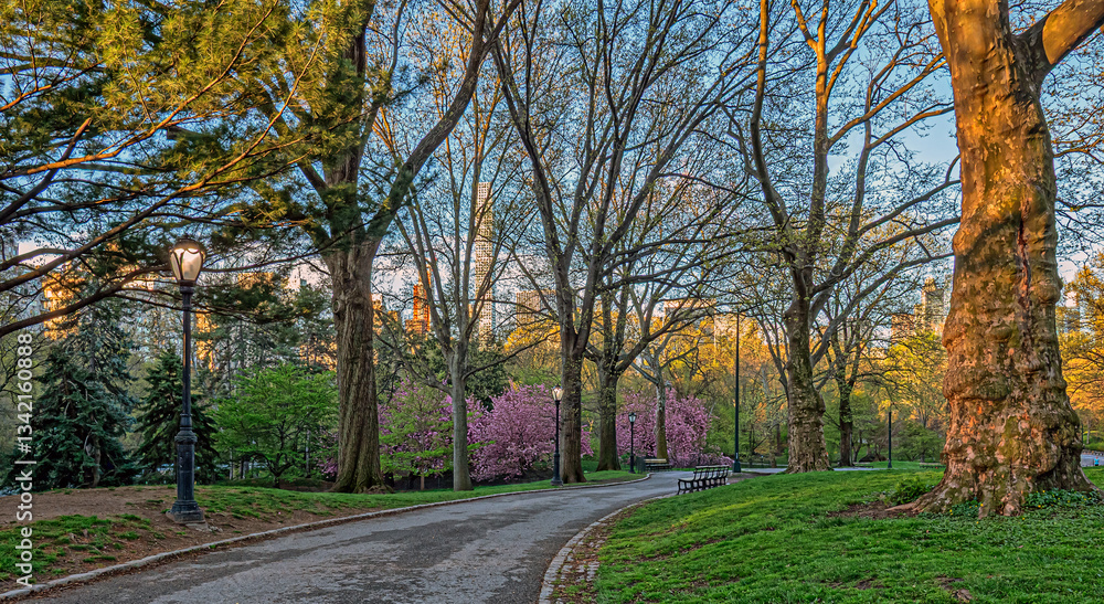 Central Park in spring, early morning