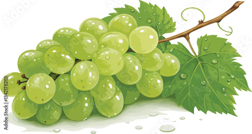Grapes in Isolated background Illustration vector design, Grapes Illustration vector design