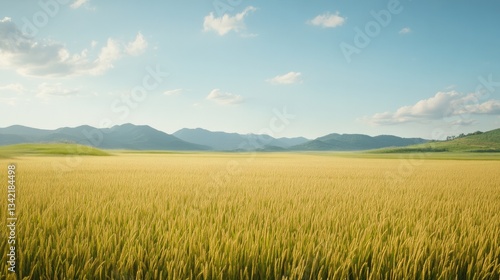 Golden fields stretch beneath clear sky, framed by distant mount