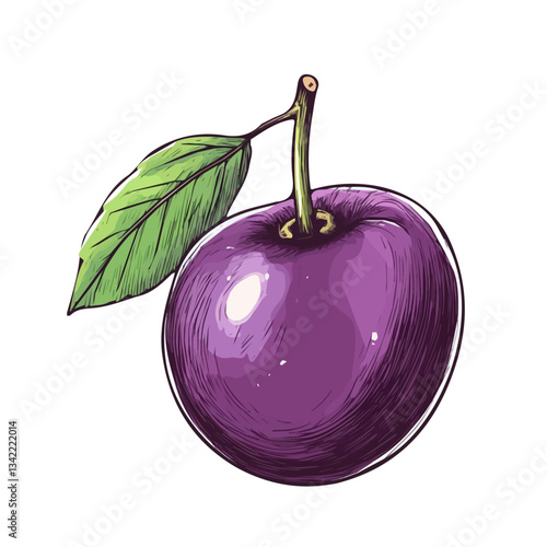 A hand-drawn colorful purple Plum. Trendy abstract minimal style. Natural fresh. Vector illustration isolated on white background, vector illustration