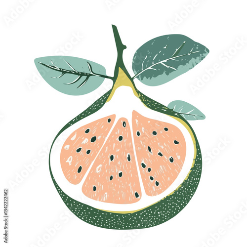 Simple hand-drawn colorful Pomelo. Trendy abstract minimal style. Natural fresh. Vector illustration isolated on white background, vector illustration