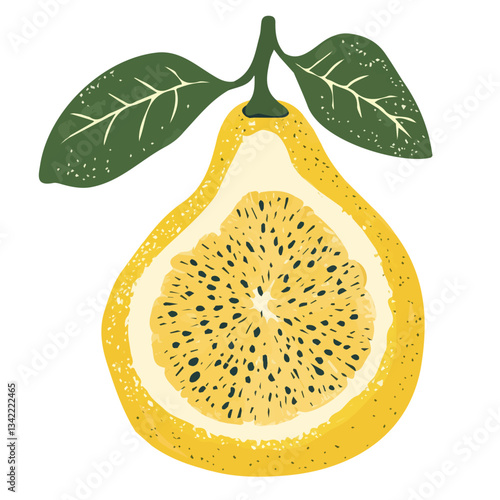 Simple hand-drawn colorful Pomelo. Trendy abstract minimal style. Natural fresh. Vector illustration isolated on white background, vector illustration