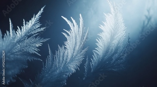 Frosty Leaves in Icy Blue Light with Intricate Details at Night