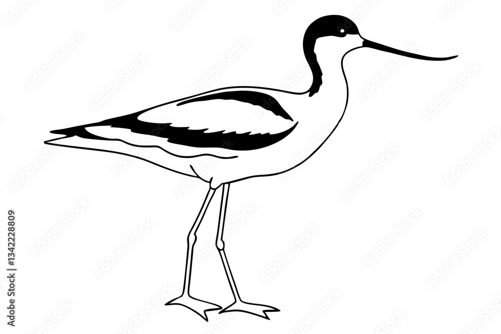 Fototapeta premium avocet line art silhouette vector illustration